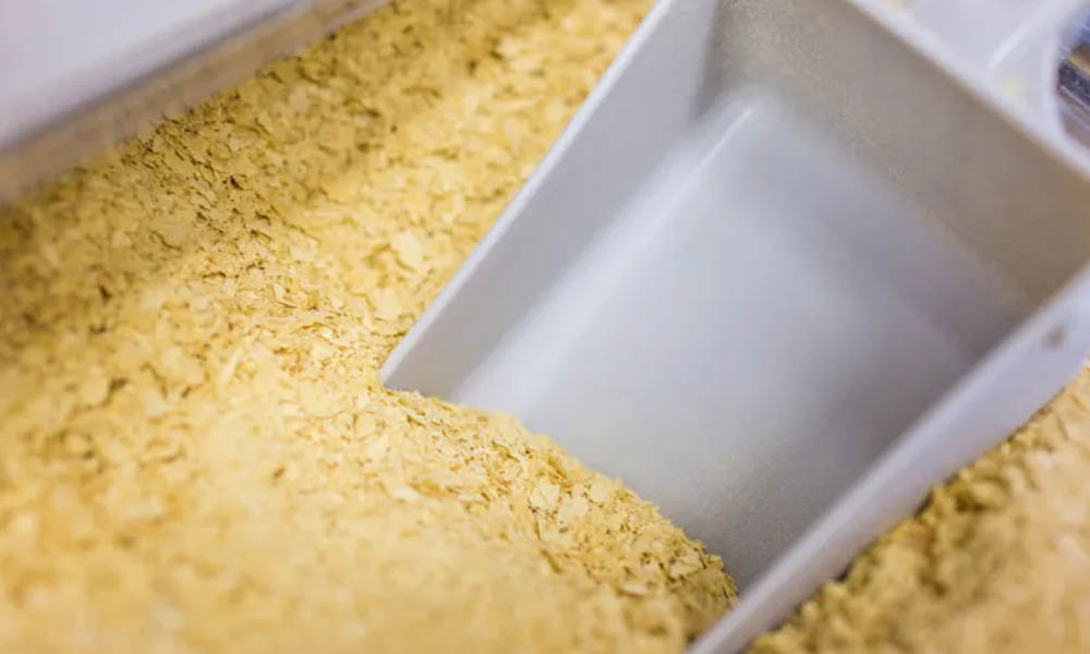 <b>Conseils pour réduire la perte de fermentation de la bière - L'effet de la levure</b>